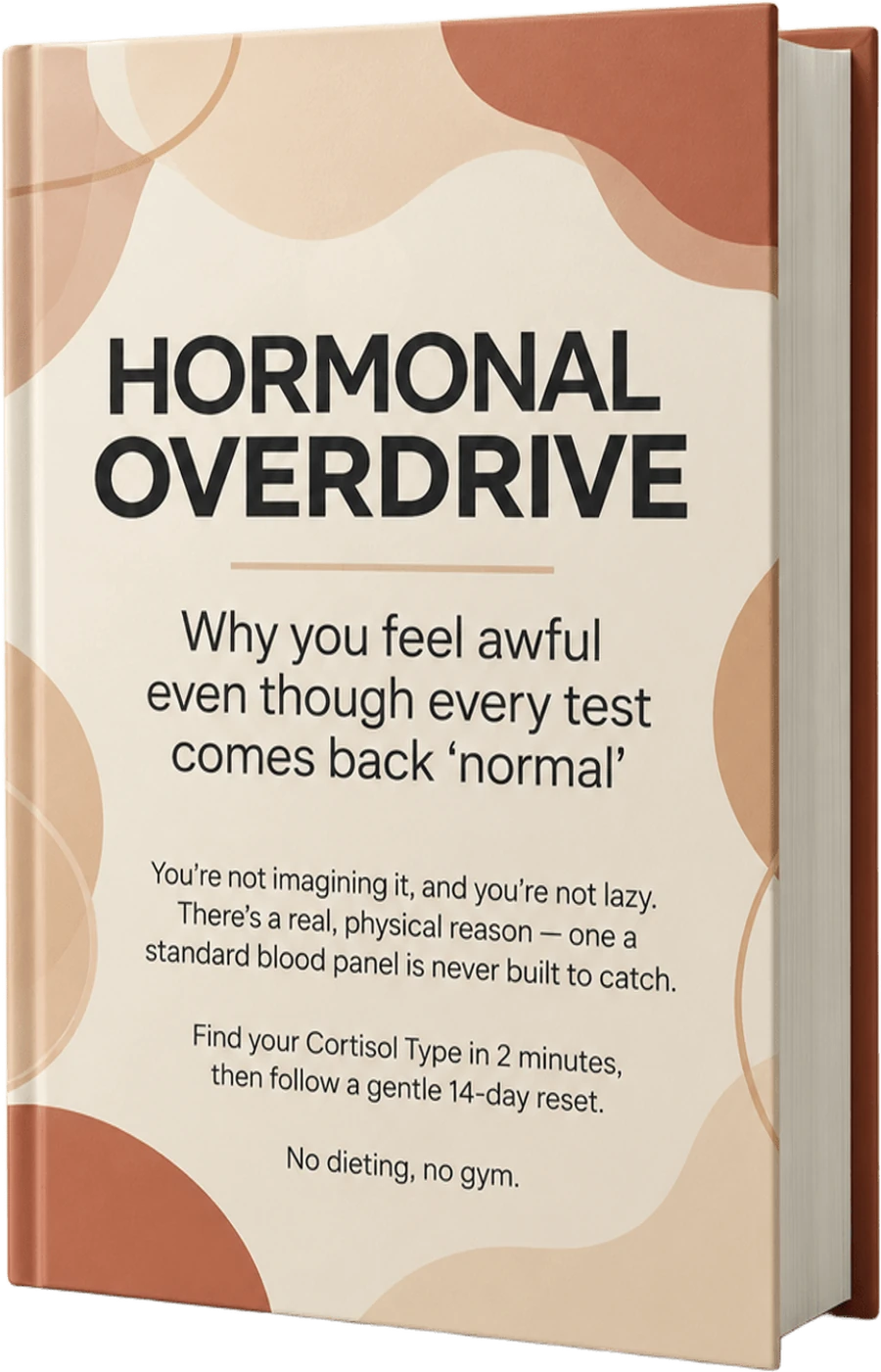Hormonal Overdrive — the e-book cover